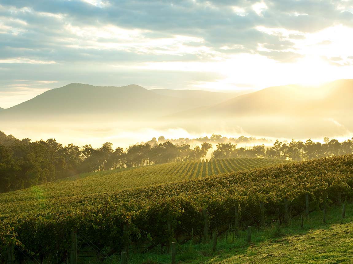 Domaine Chandon, Yarra Valley, Victoria, Coldstream, VIC