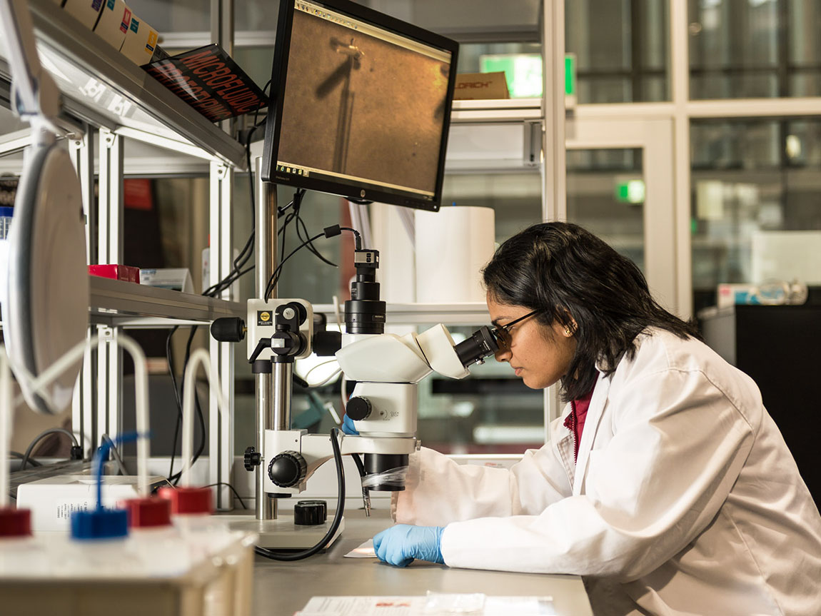 Science research student at work, Melbourne, Victoria, Australia. Photo: DJPR