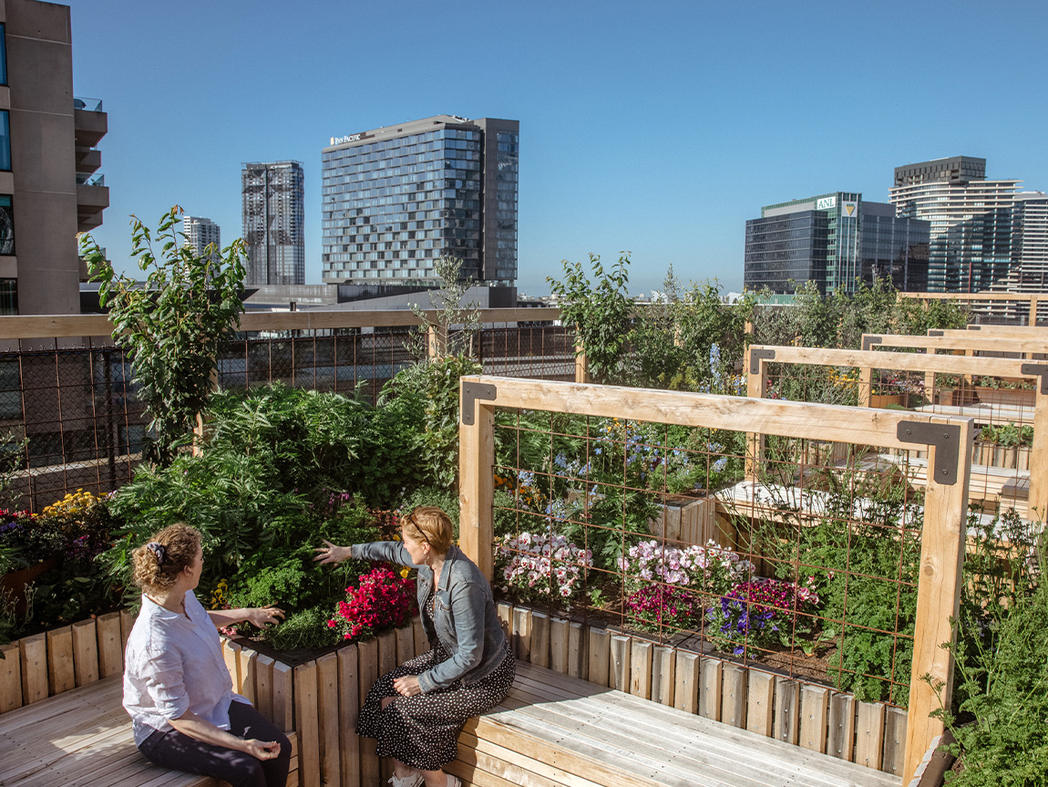 Melbourne Sky Farm, Docklands, Melbourne